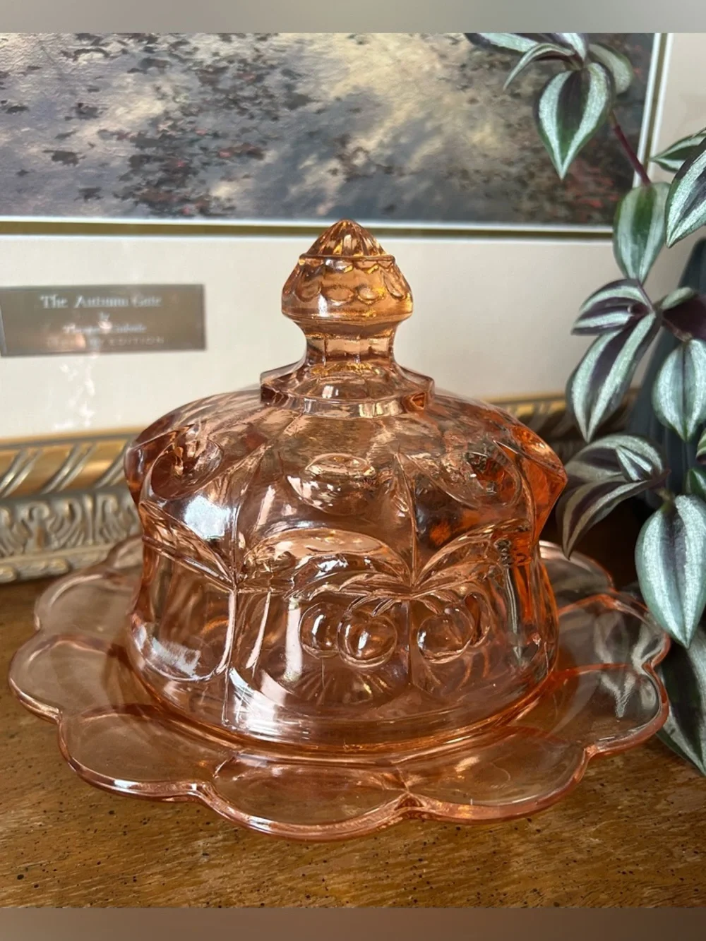 Vintage Mosser Glass "Cherry & Cable" Pink Glass Butter Dish - Picture 3 of 11